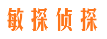 兰山侦探公司